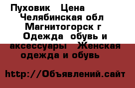 Пуховик › Цена ­ 5 000 - Челябинская обл., Магнитогорск г. Одежда, обувь и аксессуары » Женская одежда и обувь   